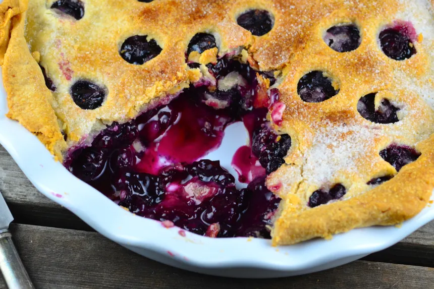 16+ Best Blueberry Recipes