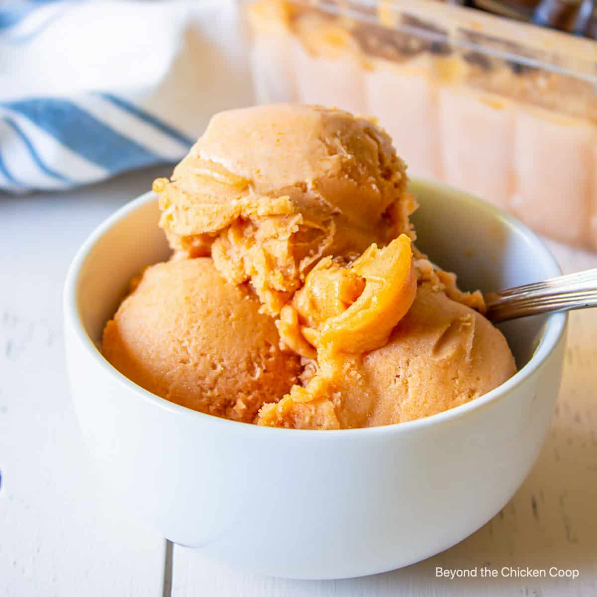 15+ Apricot Recipes