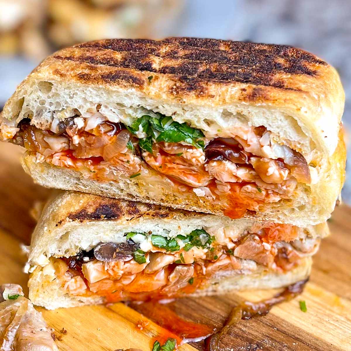 20+ Panini Recipes