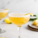 19 Gin Cocktails