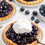 Our Best Blueberry Recipes