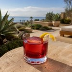 19+ Best Campari Cocktails 19+ Best Campari Cocktails