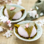 19+ Best Authentic Japanese Desserts 19+ Best Authentic Japanese Desserts