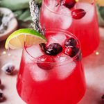 19+ Best Cranberry Cocktail Recipes 19+ Best Cranberry Cocktail Recipes