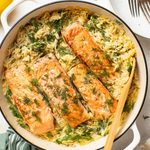 19+ Best One Skillet Meals 19+ Best One Skillet Meals