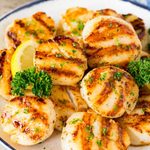 19+ Best Scallop Recipes 19+ Best Scallop Recipes for Seafood Lovers at Home