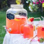 19+ Best Trash Can Drink Recipes 19+ Best Trash Can Drink Recipes